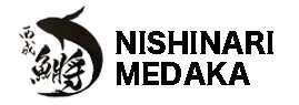西成めだか NISHINARI-MEDKA公式HP